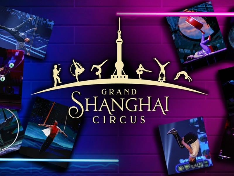 Amazing Acrobats of Shanghai Circus