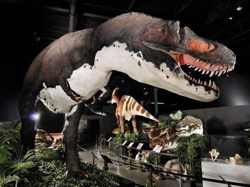 Branson Dinosaur Museum