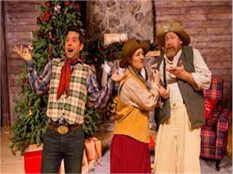 Whodunnit Hoedown- A Christmas Murder Mystery Dinner Show