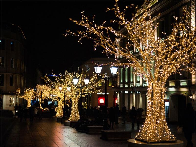 Trolley Trips Christmas Lights 90 Minutes